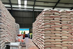 Oktober Hingga Desember, Bulog Siapkan Bantuan Beras bagi 33,2 Juta Penerima