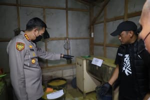 Geger! Jamu Ilegal Dicampur Parasetamol, Omzet Rp100 Juta