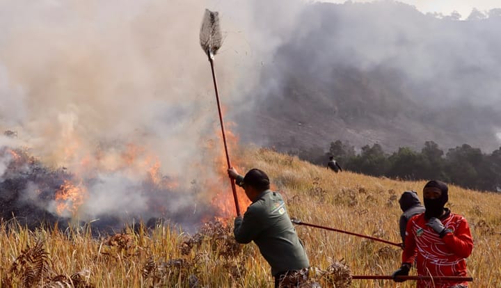 Kebakaran Gunung Bromo Meluas hingga 120 Hektare, Dugaan Awal Mengarah ke Aktivitas Manusia