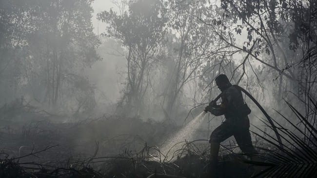 Karhutla Makin Meluas, Pemerintah Fokus Tangani Enam Provinsi Prioritas