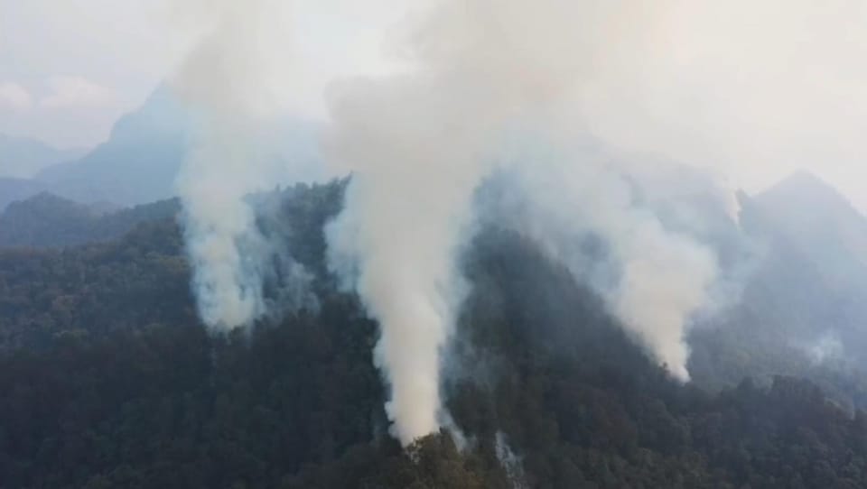 Karhutla di Lereng Gunung Arjuno, Tiga Titik Api Terdeteksi