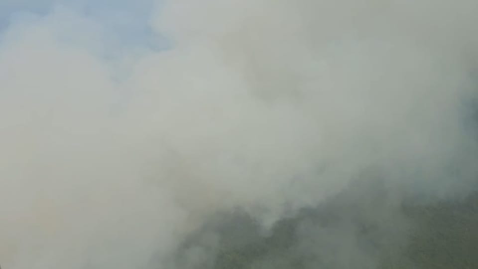 API KEPUNG SEMBILANG, KAWASAN KONSERVASI DALAM BAHAYA