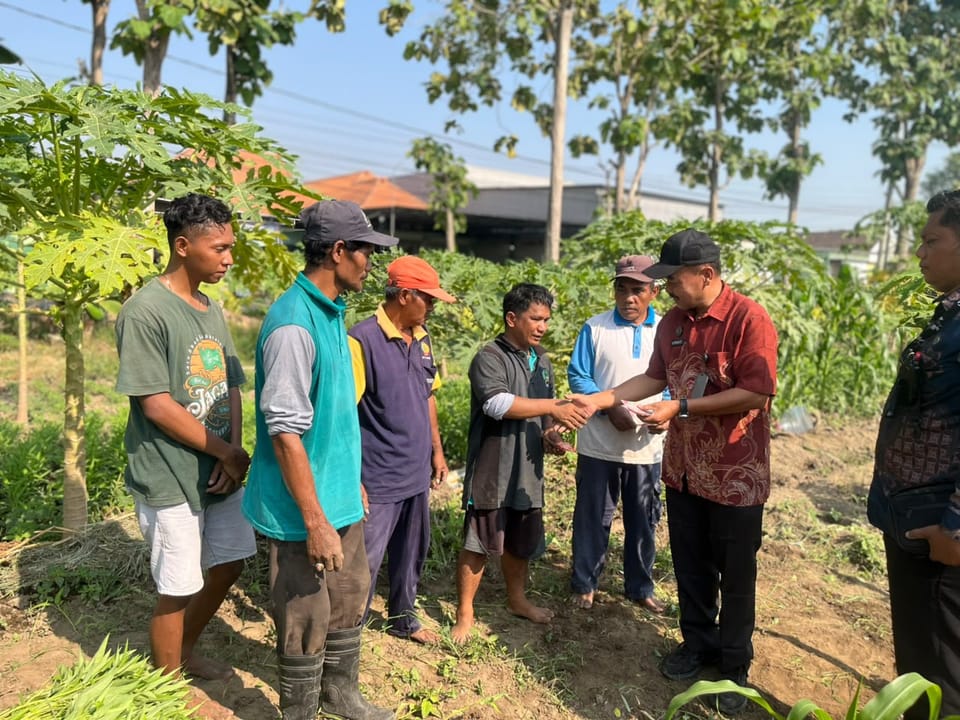 Panen 73 Kilogram Kangkung, Lapas Surabaya Bagikan Premi Warga Binaan